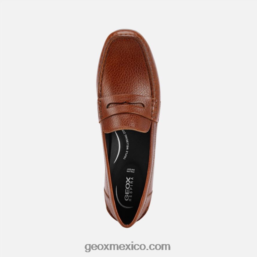 annytah moc mujer marrón Geox L846PZ464