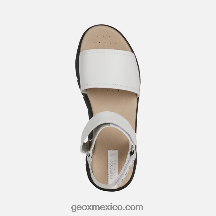 dandra 40 mujer blanco Geox L846PZ515