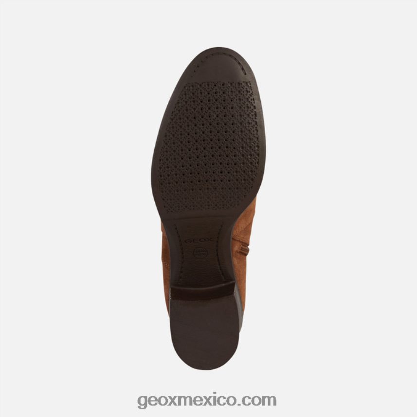 nueva mujer asheel marrón Geox L846PZ346