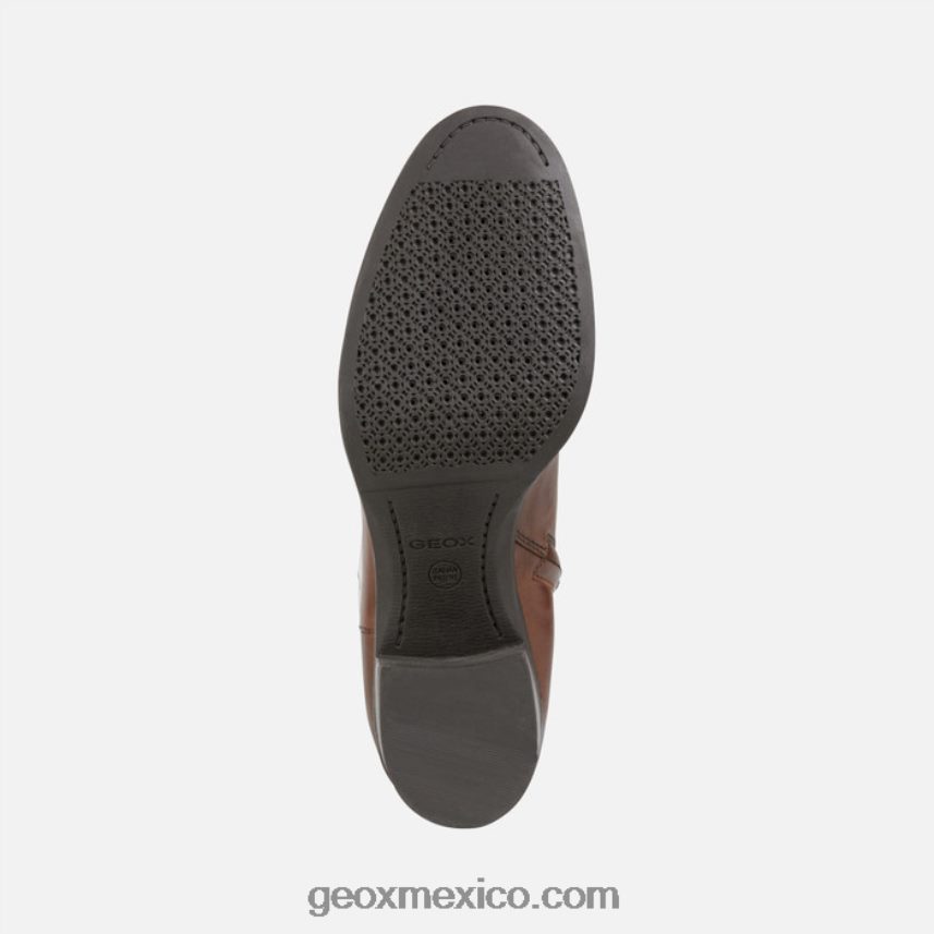 nueva mujer asheel marrón Geox L846PZ607
